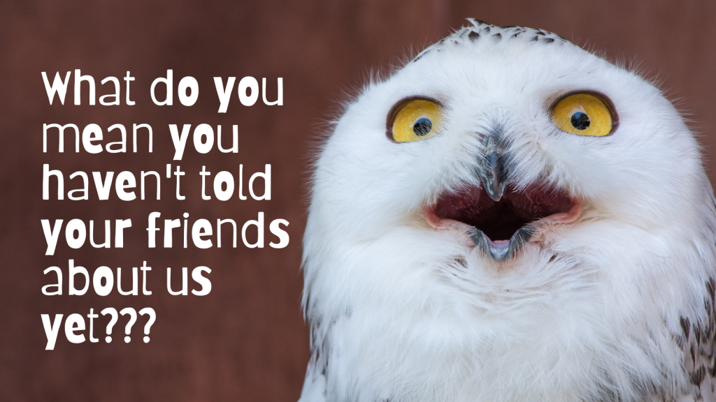 What do you mean you haven't told your friends about us? - Surprised Owl