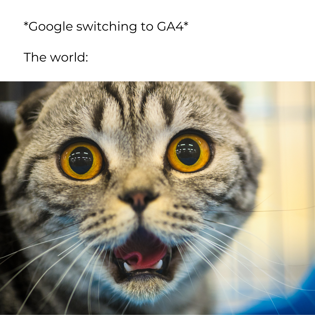 Text: "*Google switching to GA4* The world:" Underneath, is a picture of a cat with a look of surprise