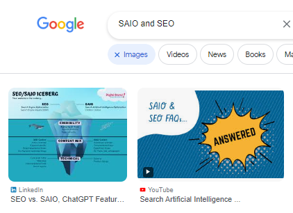 Google image results showing a reference to our SAIO blog infographic and YouTube channel