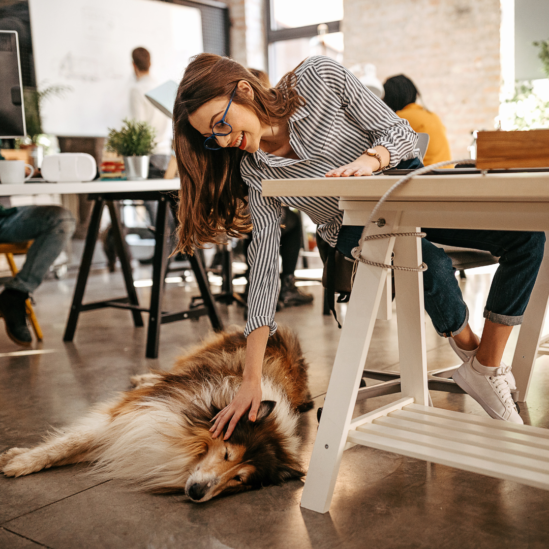 Letting pets visit the office